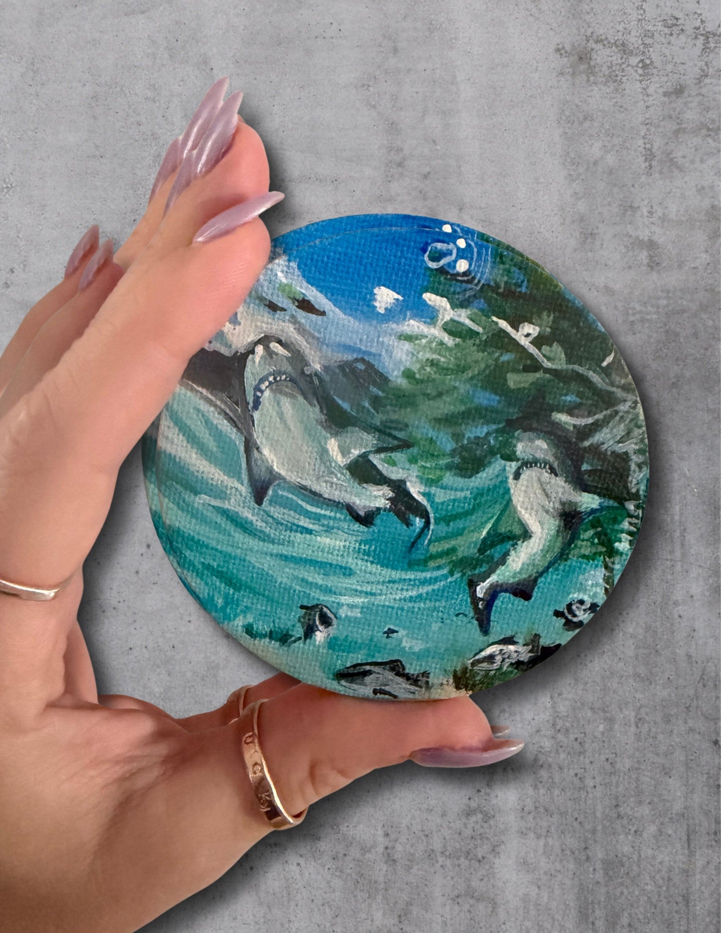 Mini Canvas Magnet- Mangrove Shark 2026 (Small Round)