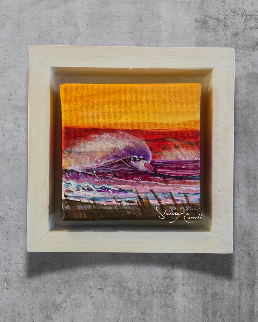 Ditch Plains- Mini Collection 2026